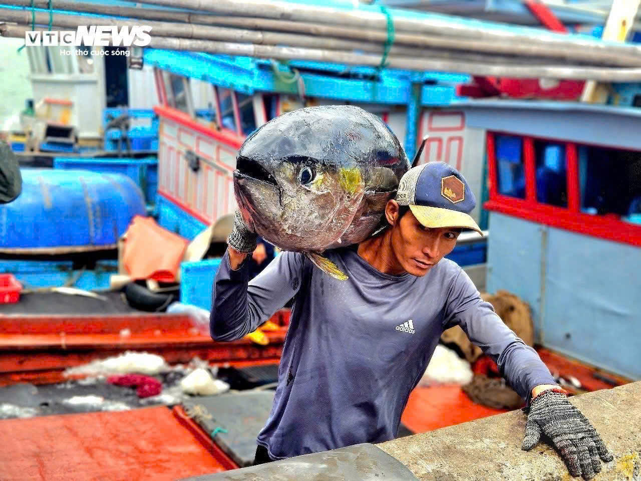 Cẩm Nang Đặc Sản Phú Yên Làm Quà: Ngon, Lạ